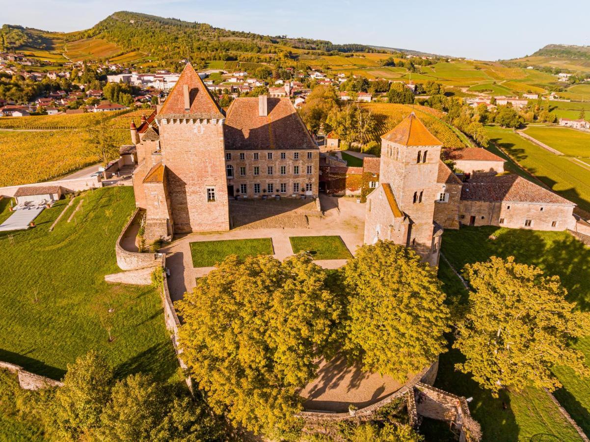 Chateau De Pierreclos エクステリア 写真