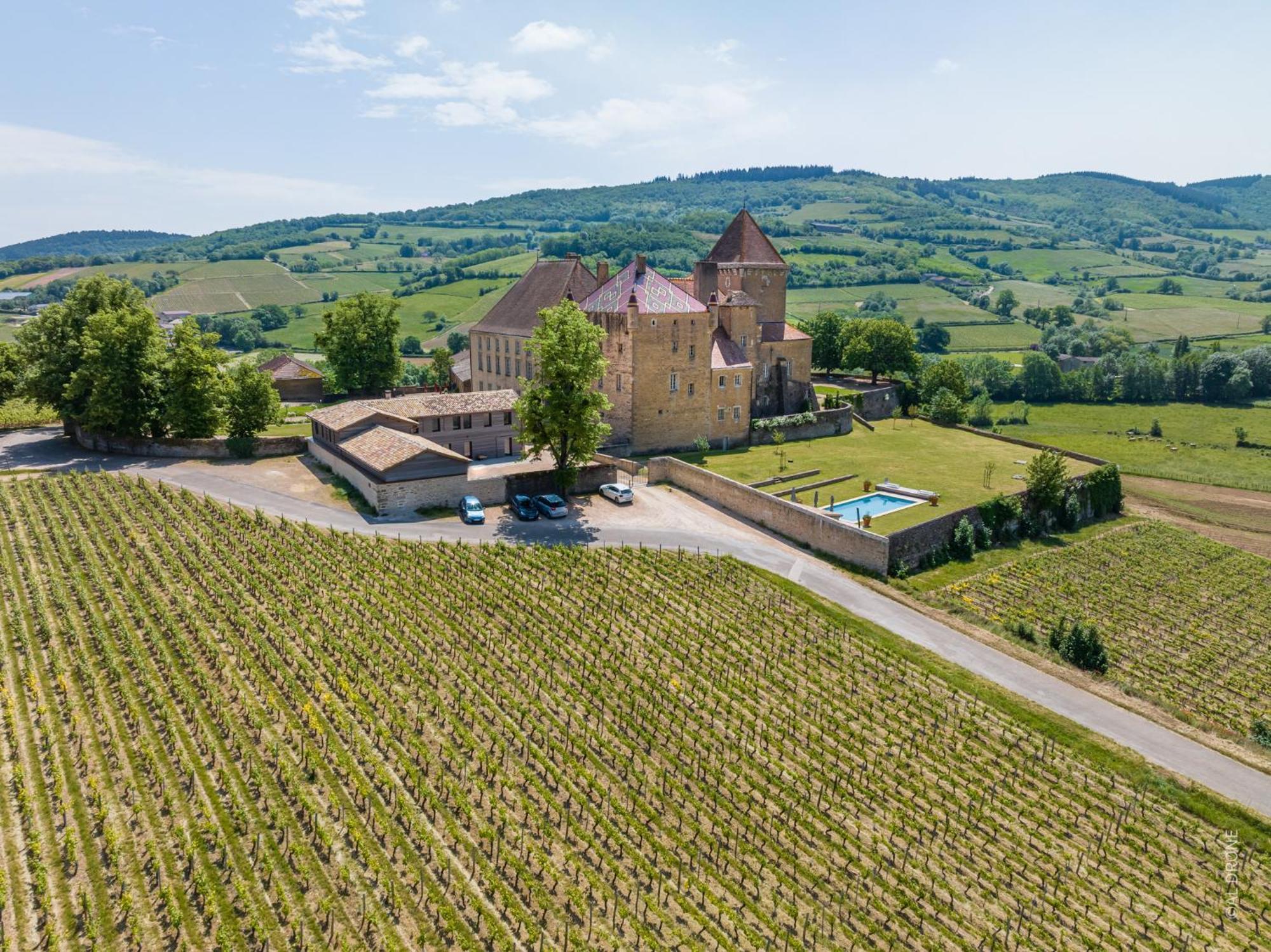 Chateau De Pierreclos エクステリア 写真