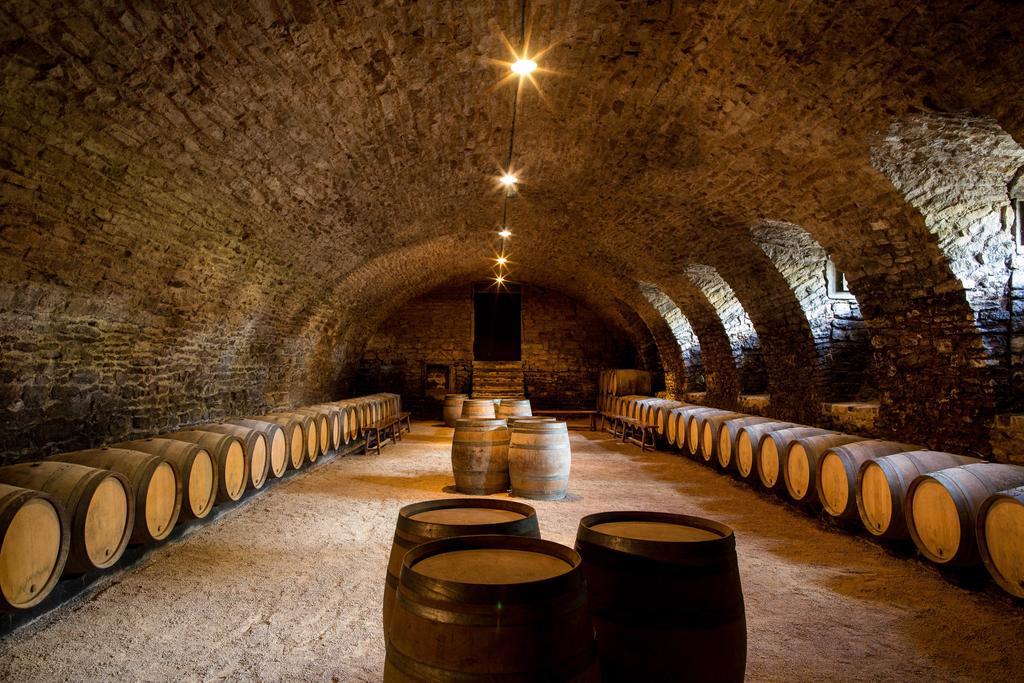 Chateau De Pierreclos エクステリア 写真